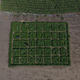 Photo from 2017 field trials of the method.